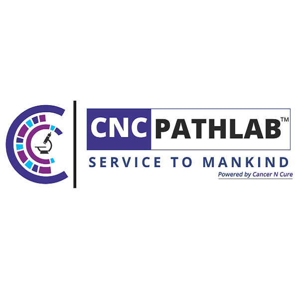 CNC Path Lab