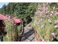 private-room-in-dalhousie-tour-package-for-couple-small-1