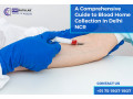 a-comprehensive-guide-to-blood-home-collection-in-delhi-ncr-small-0