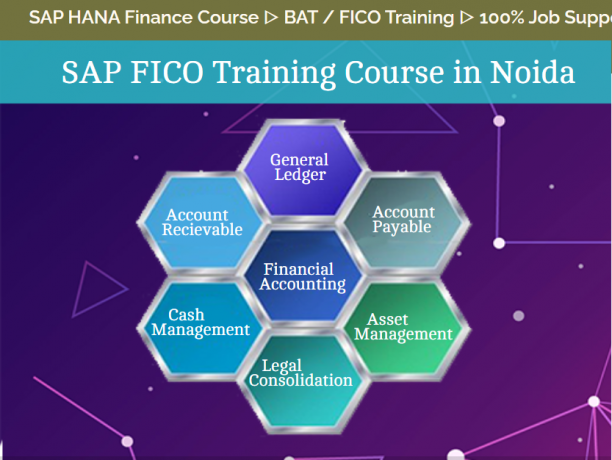 sap-fico-course-in-kamla-nagar-delhi-noida-gurgaon-free-sap-server-access-free-demo-classes-100-job-guarantee-program-big-0