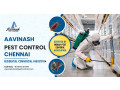 best-pest-control-services-experts-in-chennai-aavinashpestcontrol-small-0